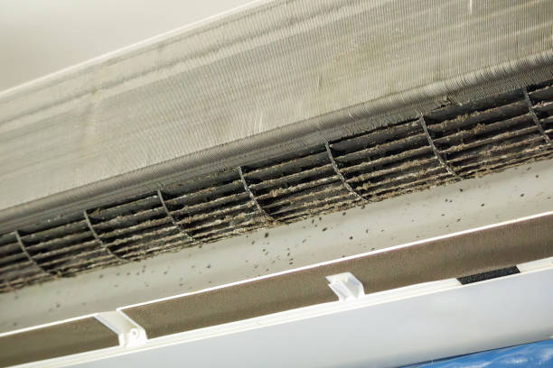 Best HVAC Maintenance and Cleaning  in Bolingbrook, IL